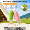 Foldable Pet Water Bowl for Walks & Travel