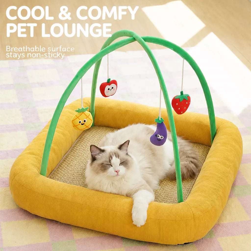 Cat Tent Bed with Play Mat