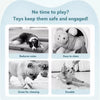 Interactive Squeaky Bouncing Ball Dog Toy