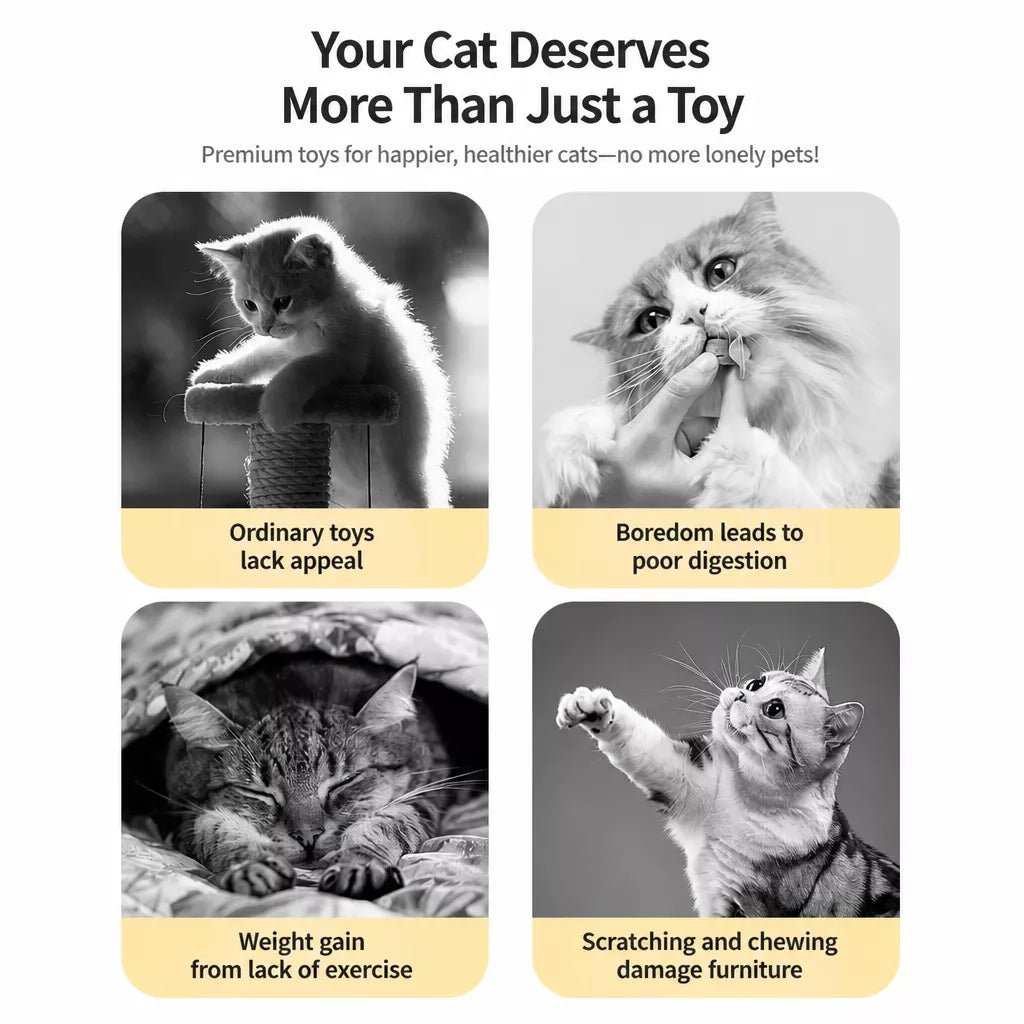 Interactive Cat Treat Spinner Toy