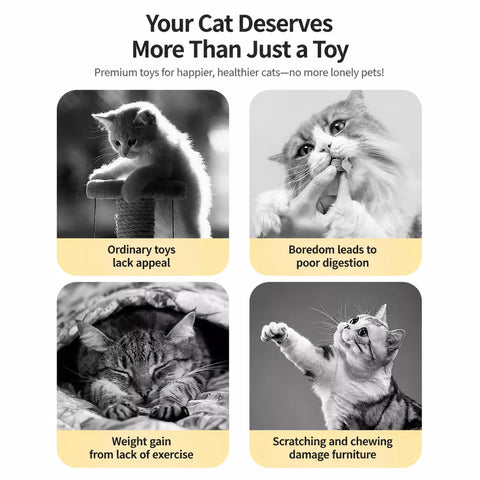 Interactive Cat Treat Spinner Toy