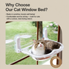 Transparent Foldable Cat Window Hammock