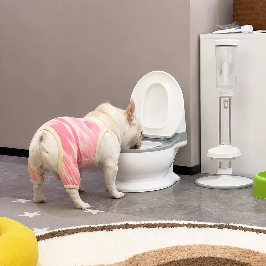 Toilet-Shaped Cat Water Bowl with Wide Opening