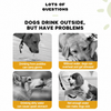 Portable Dog Water Bottle for Walks & Travel