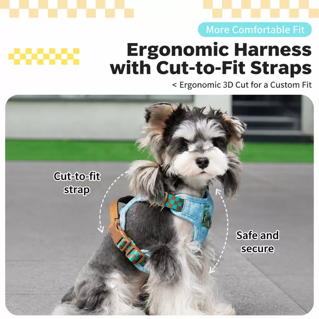 Pet Vest Harness for Small to Medium Dogs