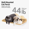 Window-Mounted Cat Climbing System with Perches and Scratching Posts