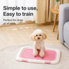 Elevated Mesh Dog Potty Tray