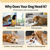 Squeaky Vinyl Dog Toy Balls for Small and Medium Dogs