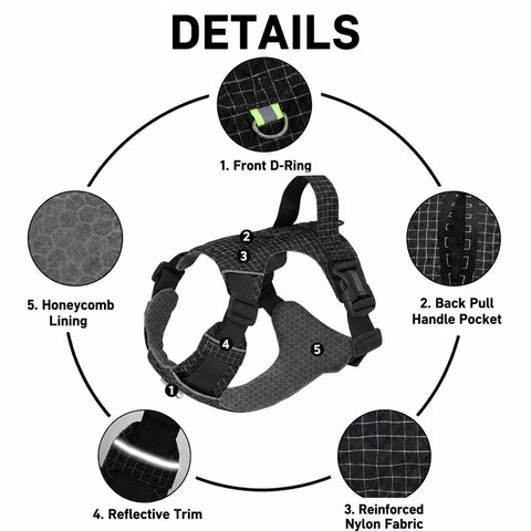 Adjustable Nylon Vest-Style Dog Harness with Matching Leash