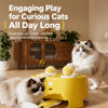 Electric Whack-a-Mole Cat Toy with Feather Teaser