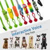 Interactive Dog Tug Toy