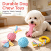 Dog Chew and Play Toys