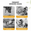 Portable Dog Water Bottle for Walks & Travel