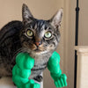 3D-Printed Arm Charm Neck Accessory for Cats and Dogs
