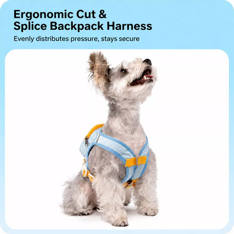 Vest-Style Pet Harness and Leash Set for Dogs & Cats