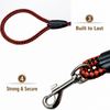 Adjustable Nylon Pet Harness and Leash Set