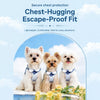 Nylon Dog Harness and Leash for Small Dogs