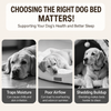 Elevated Nylon Dog Cot Bed with Removable, Washable Design