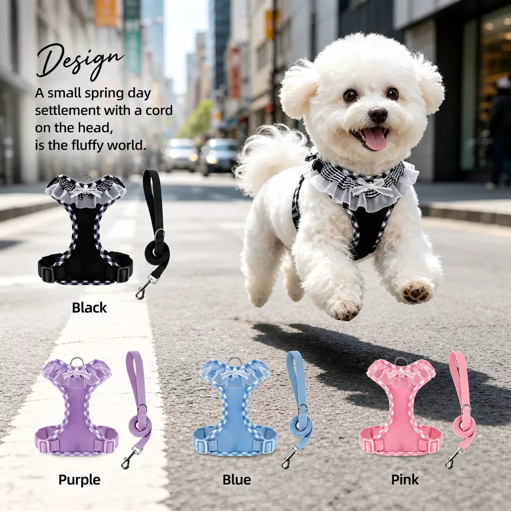 Nylon H-Style Dog Harness and 6.6-Foot Leash Set