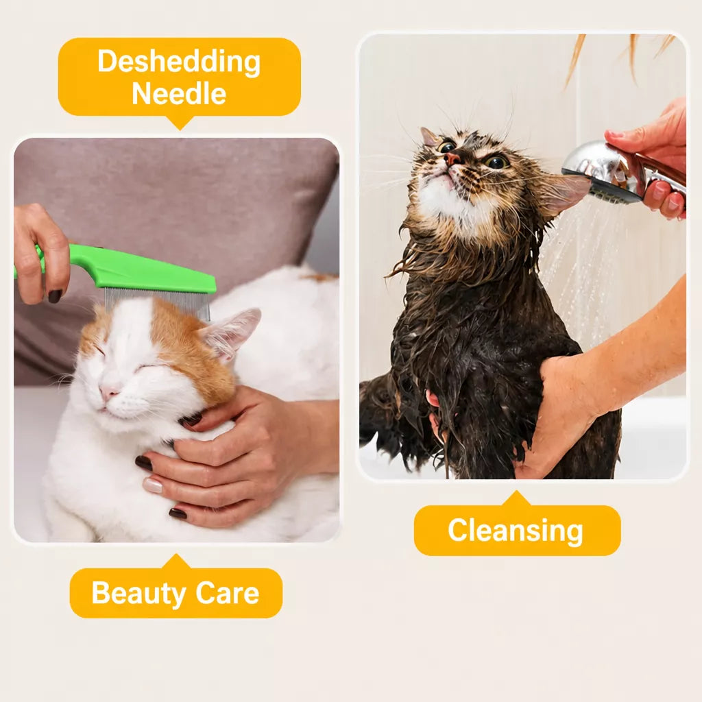 Clear Plastic Recovery Cone for Cats