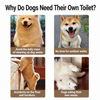 Elevated Dog Potty Tray with Steel Frame