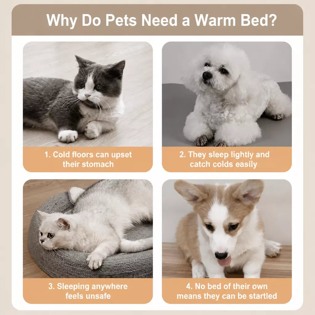 Semi-Enclosed Waterproof Pet Bed for Small Dogs & Cats
