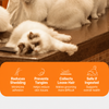 Stainless Steel Pet Pin Brush for Dogs and Cats - p-00289