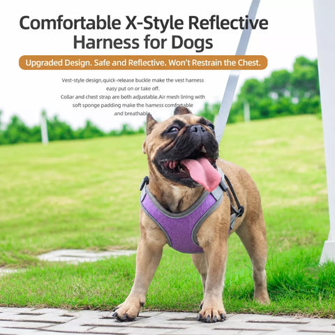 Vest-Style Dog Harness & Leash Set for Small to Medium Dogs