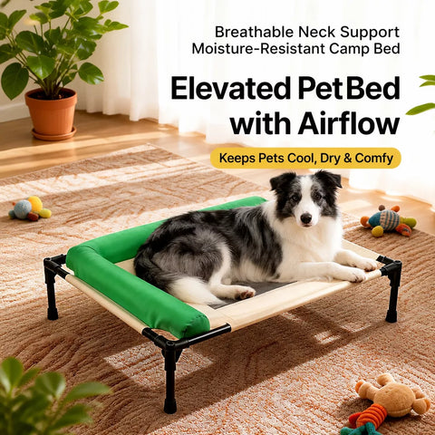 Elevated Washable Pet Bed for Small to Medium Dogs & Cats