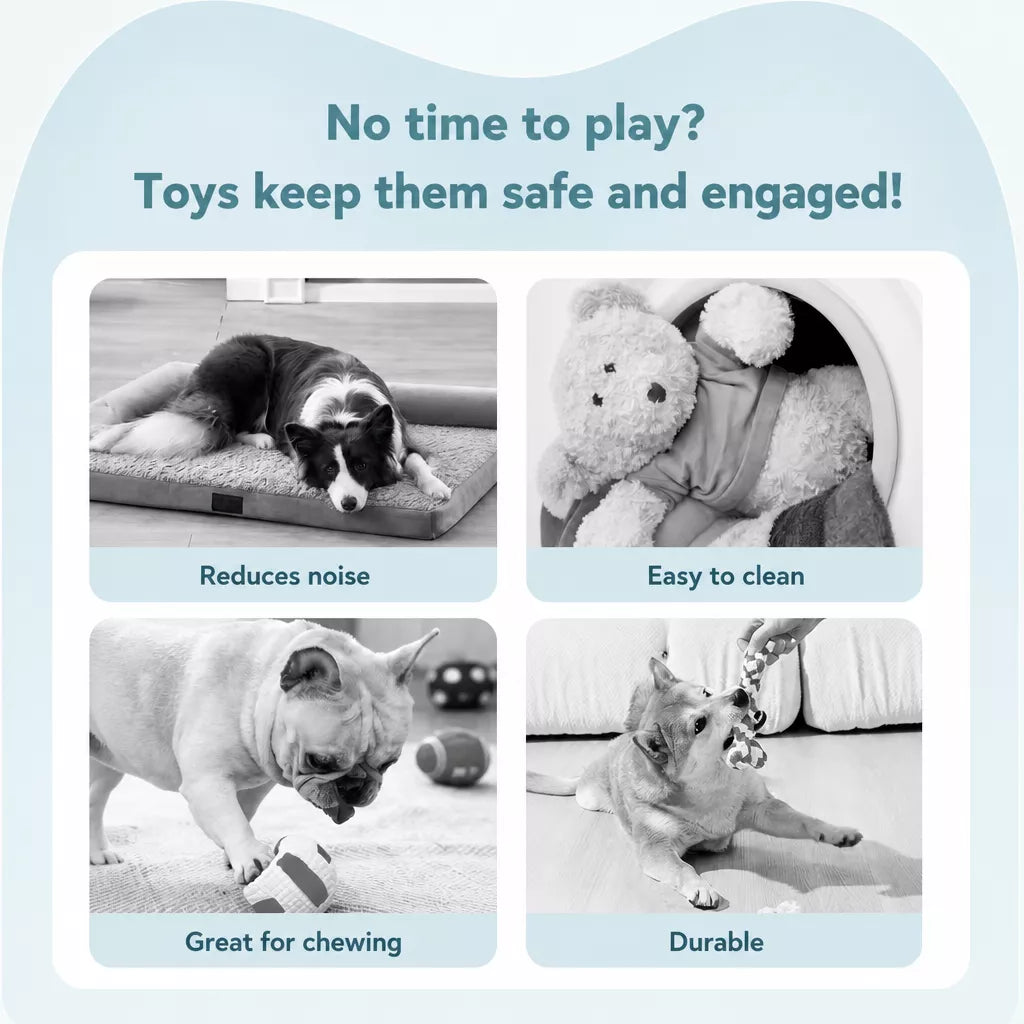 Interactive Squeaky Bouncing Ball Toy for Dogs