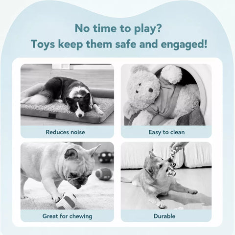 Interactive Squeaky Bouncing Ball Toy for Dogs