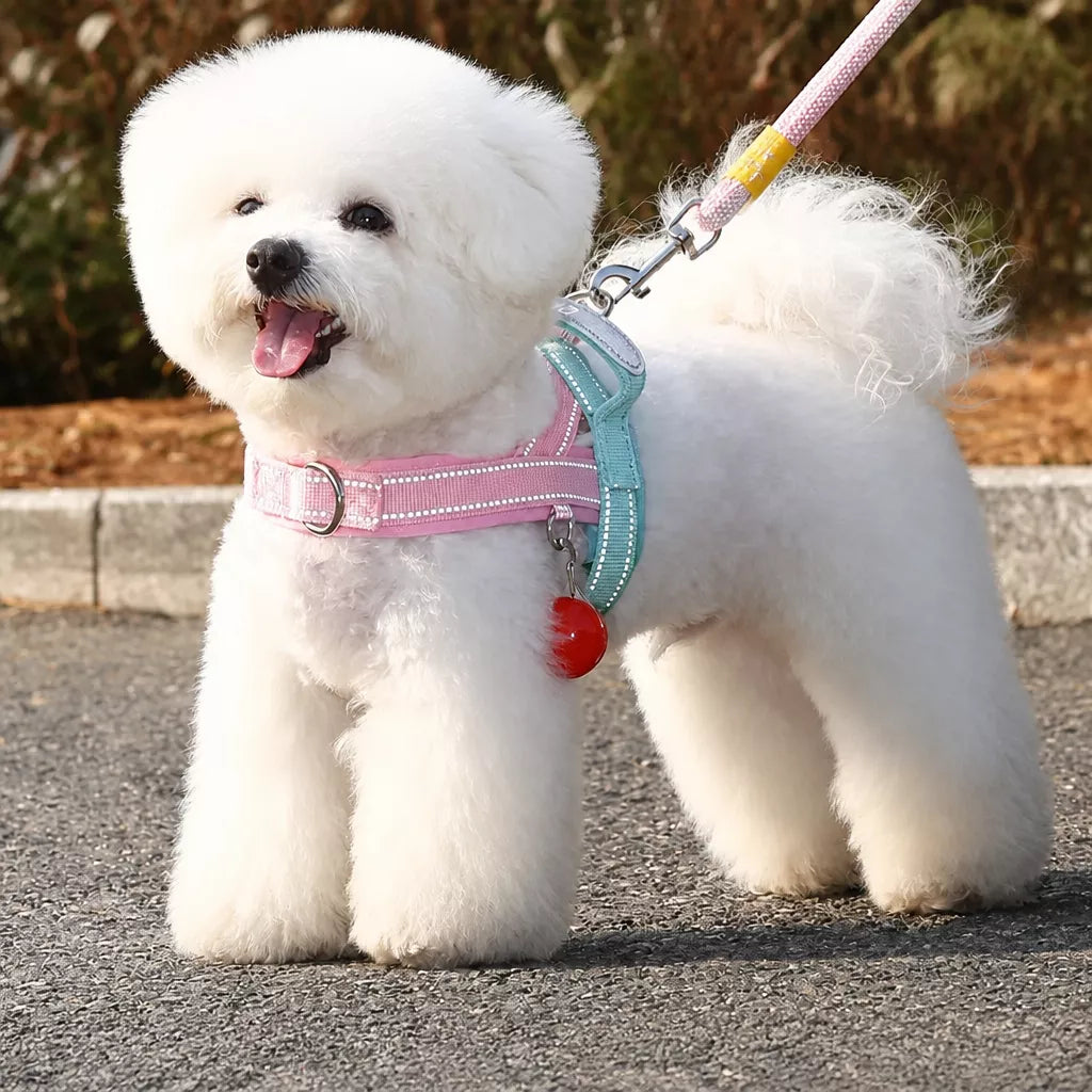 Vest-Style Nylon Dog Harness with Round Rope Leash