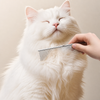 Stainless Steel Grooming Comb for Cats and Dogs