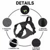 Adjustable Nylon Vest-Style Dog Harness with Leash