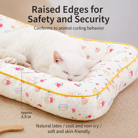 Washable Removable Small Dog Bed for Year-Round Use
