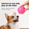 Paw Print Squeaky Ball Dog Toy