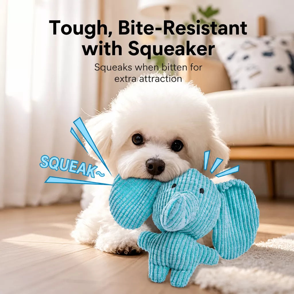 Plush Squeaky Dog Toy