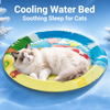 Water-Filled Cat Pet Bed