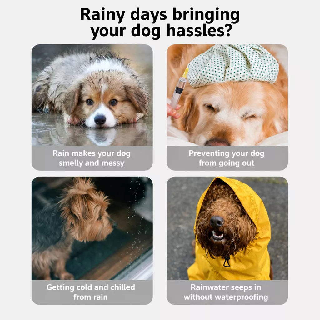 Full-Coverage Four-Leg Dog Raincoat for Medium & Large Dogs