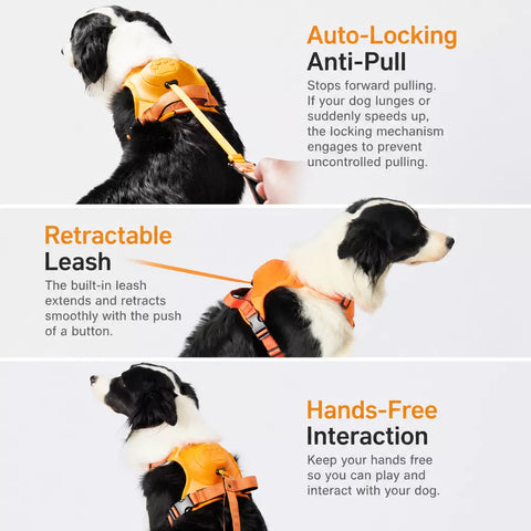 Nylon Dog Harness with Retractable Leash
