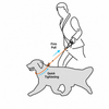Nylon Rope Training Leash for Small and Medium-Sized Dogs