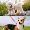 Small Dog Vest Harness