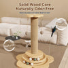 4-in-1 Cat Scratching Post with Sisal Mat and Interactive Toy