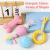 Dog Chew and Play Toys