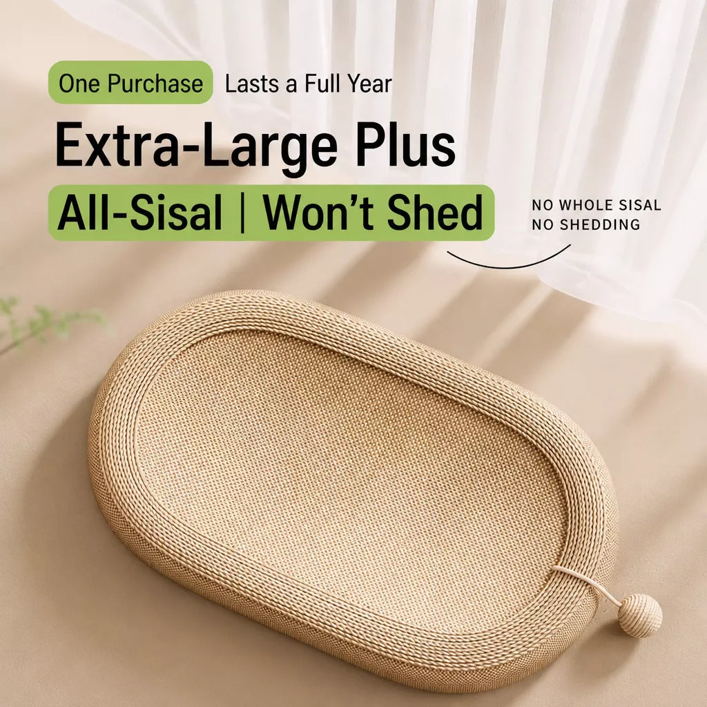 Cat Scratcher with Built-In Lounge Area