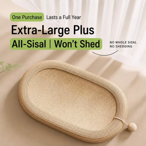Cat Scratcher with Built-In Lounge Area