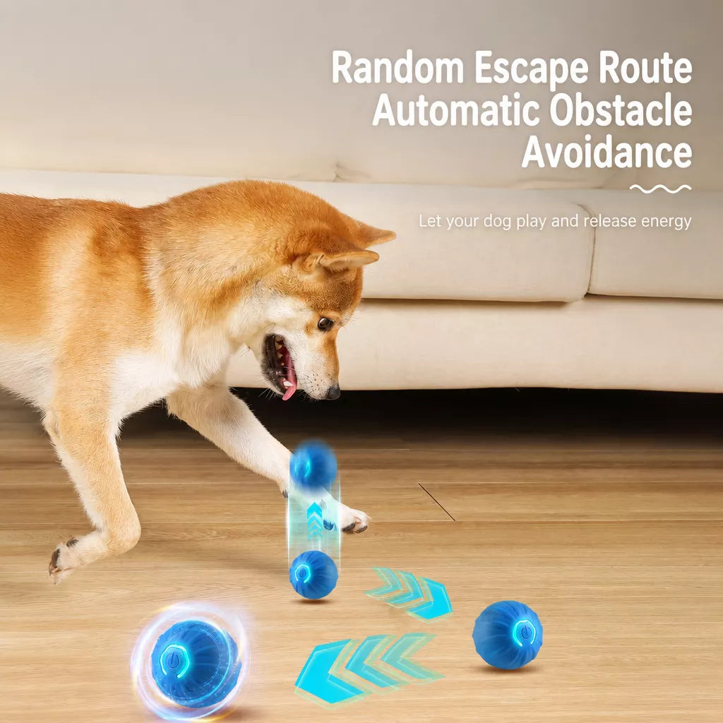 Interactive Squeaky Bouncing Ball Toy for Dogs