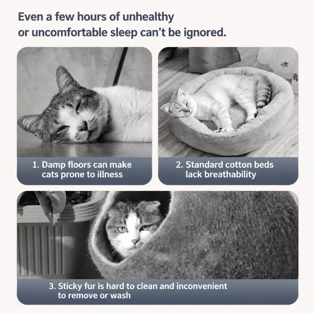All-Season Cat Bed with Integrated Climbing Hammock