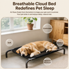 Elevated Nylon Dog Cot Bed with Removable, Washable Design