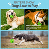 Squeaky Vinyl Dog Ball Toy